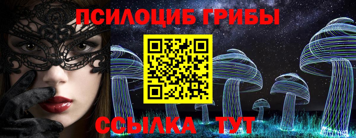 Звенигород  Псилоцибиновые грибы ЛСД  Вход с VPN  Псилоцибиновые грибы мицелий 