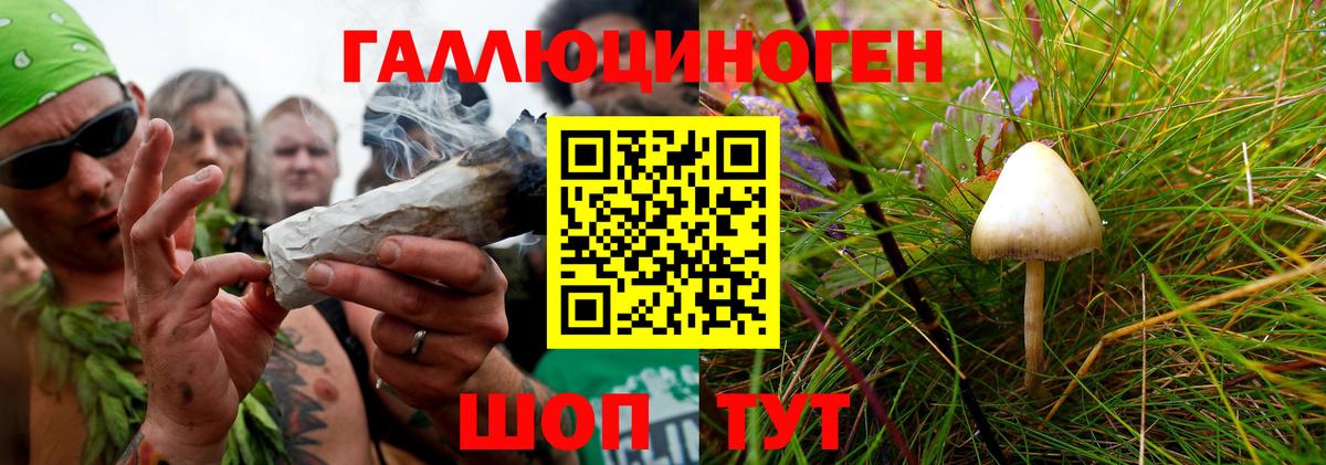 Псилоцибиновые грибы ЛСД Звенигород